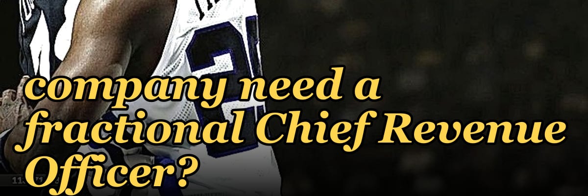 Does a scale-up HR tech company need a fractional Chief Revenue Officer?