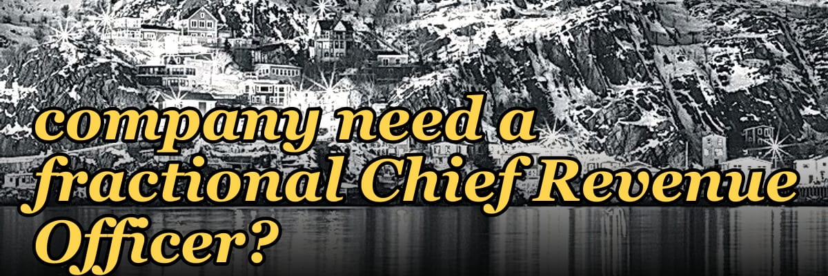 Does a high-growth professional services company need a fractional Chief Revenue Officer?