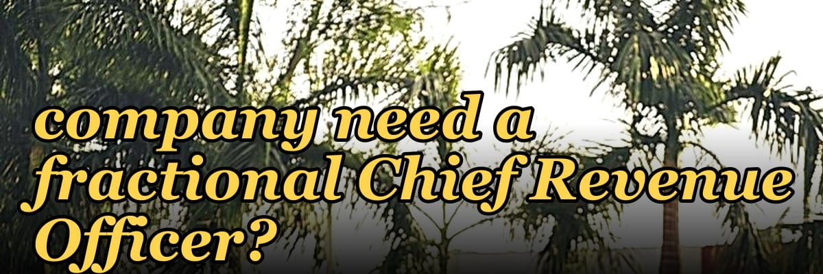 Does a Series B media company need a fractional Chief Revenue Officer?
