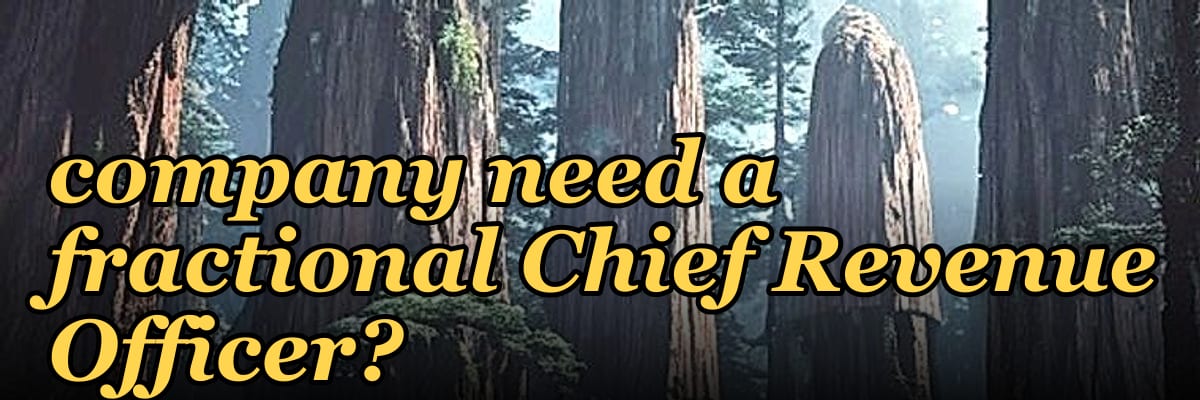 Does a PE-backed construction tech company need a fractional Chief Revenue Officer?