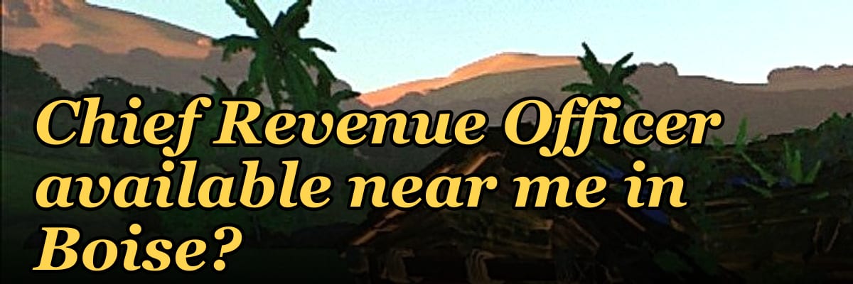 Is there a fractional Chief Revenue Officer available near me in Boise?