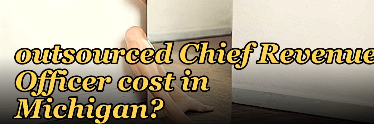 How much does an outsourced Chief Revenue Officer cost in Michigan?