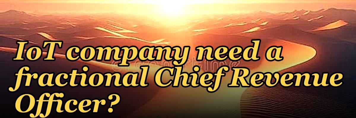 Does a $1M to $5M ARR IoT company need a fractional Chief Revenue Officer?