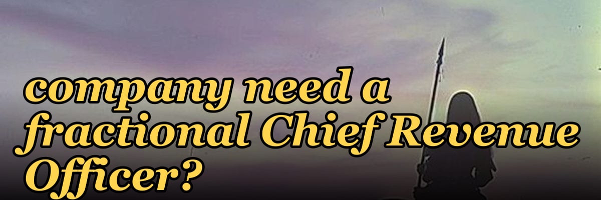 Does a post-merger services business company need a fractional Chief Revenue Officer?