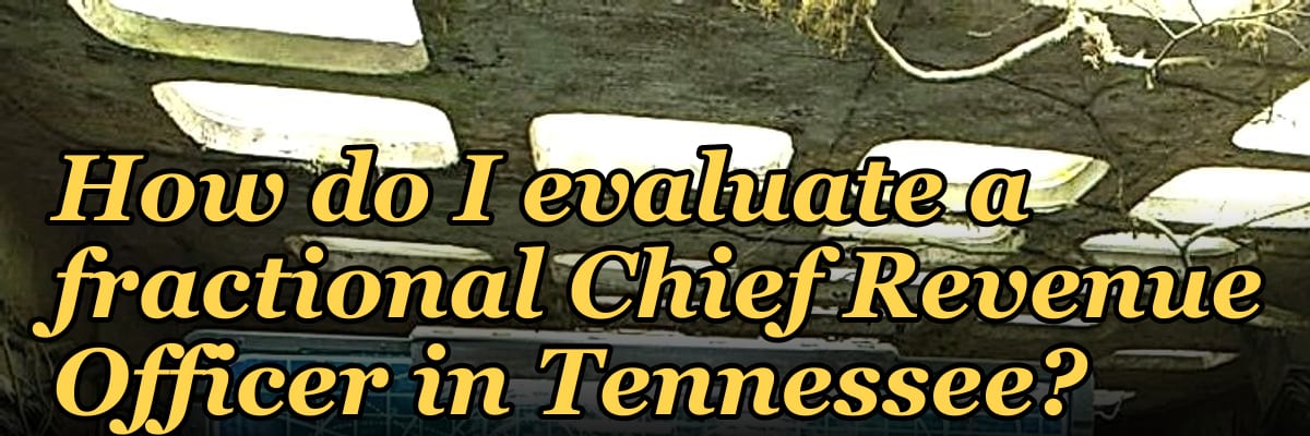 How do I evaluate a fractional Chief Revenue Officer in Tennessee?