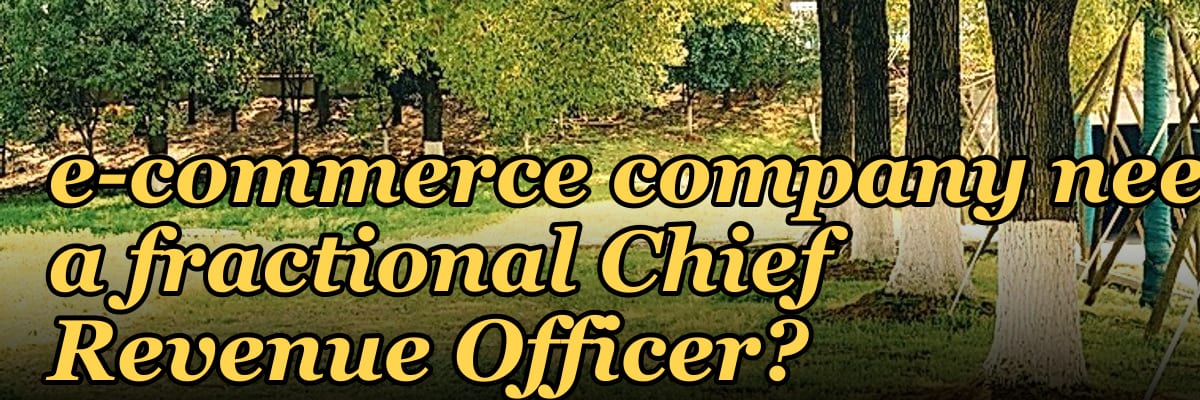 Does a high-growth e-commerce company need a fractional Chief Revenue Officer?