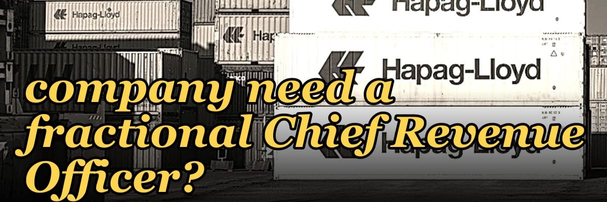 Does a Series B financial services company need a fractional Chief Revenue Officer?