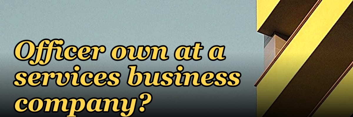 What KPIs should a fractional Chief Revenue Officer own at a services business company?