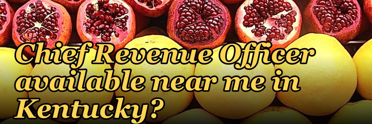 Is there a fractional Chief Revenue Officer available near me in Kentucky?