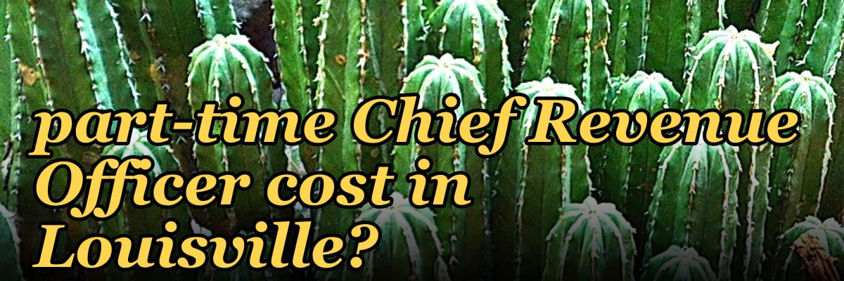 How much does a part-time Chief Revenue Officer cost in Louisville?