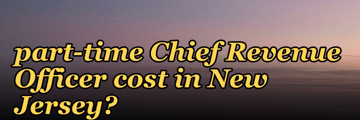 How much does a part-time Chief Revenue Officer cost in New Jersey?