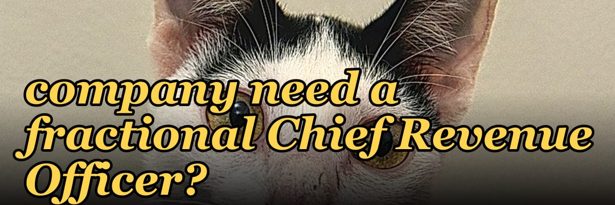 Does a $10M to $50M ARR enterprise software company need a fractional Chief Revenue Officer?