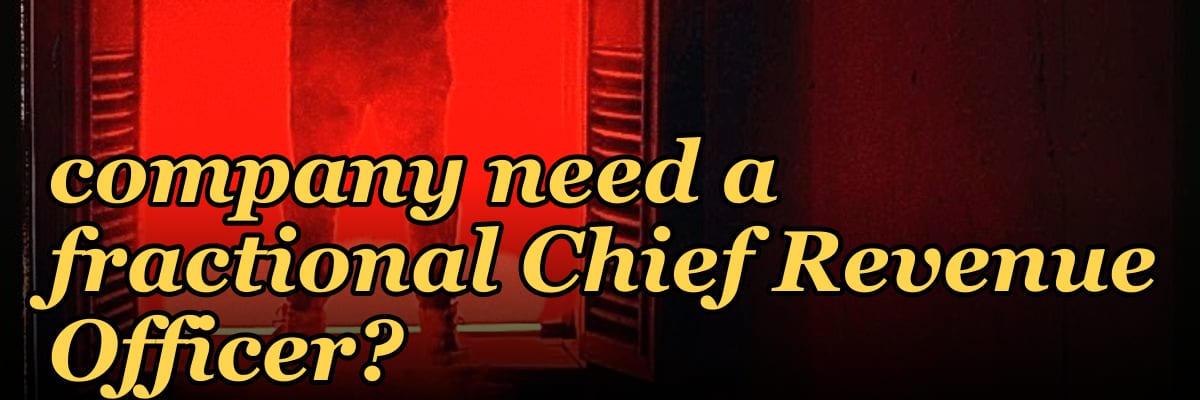 Does a Series C professional services company need a fractional Chief Revenue Officer?