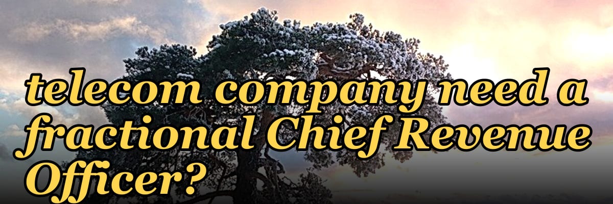 Does a $1M to $5M ARR telecom company need a fractional Chief Revenue Officer?