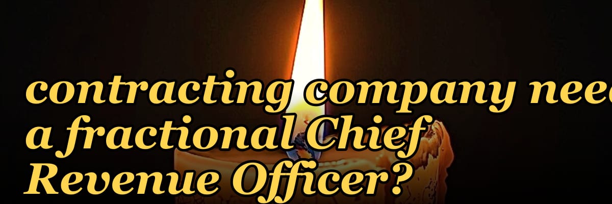 Does an SMB government contracting company need a fractional Chief Revenue Officer?