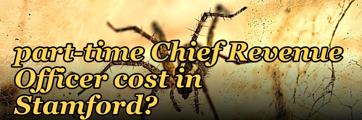 How much does a part-time Chief Revenue Officer cost in Stamford?