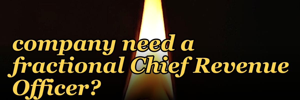 Does a $5M to $10M ARR supply chain software company need a fractional Chief Revenue Officer?