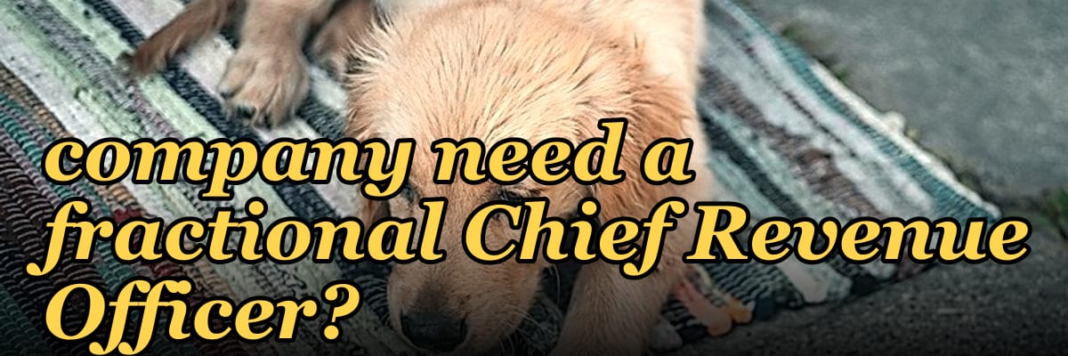 Does a PE-backed services business company need a fractional Chief Revenue Officer?