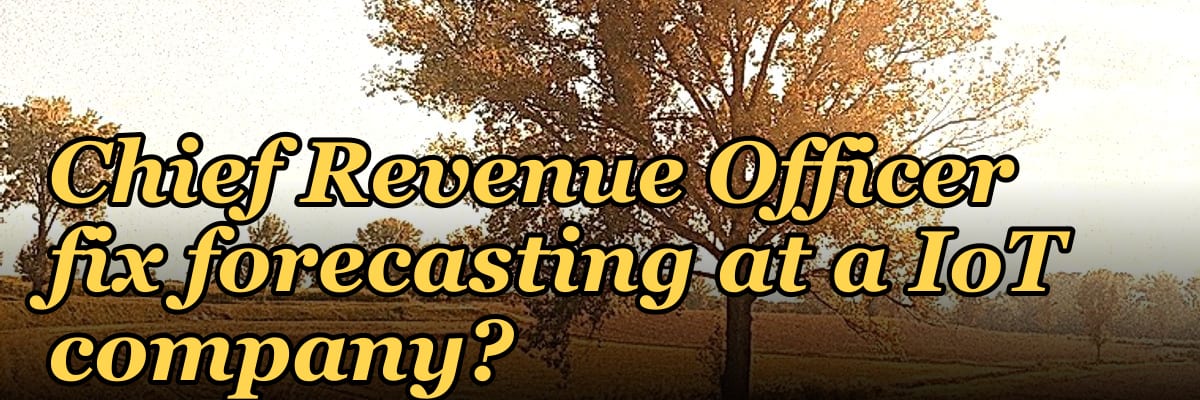 How does a fractional Chief Revenue Officer fix forecasting at a IoT company?
