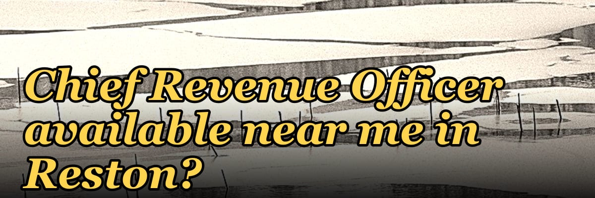 Is there a fractional Chief Revenue Officer available near me in Reston?