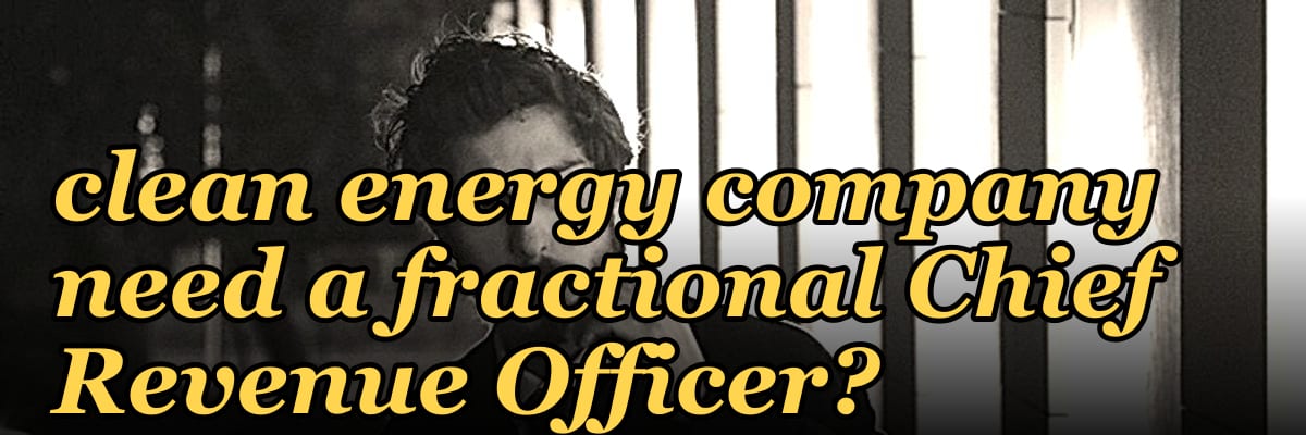 Does a venture-backed clean energy company need a fractional Chief Revenue Officer?