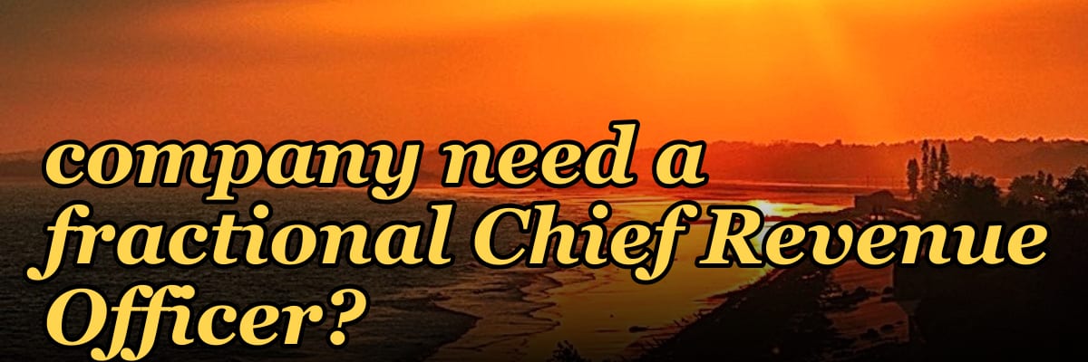 Does an SMB medtech company need a fractional Chief Revenue Officer?