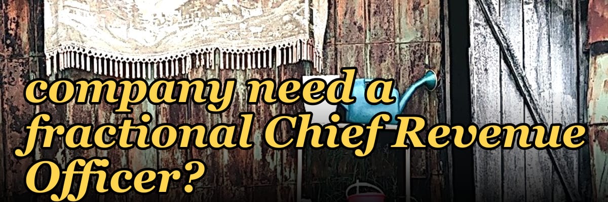 Does an early-stage IoT company need a fractional Chief Revenue Officer?