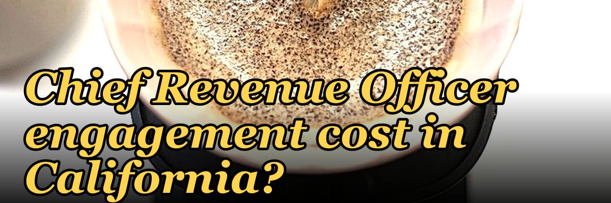 What does a fractional Chief Revenue Officer engagement cost in California?