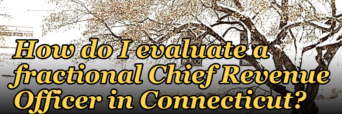 How do I evaluate a fractional Chief Revenue Officer in Connecticut?