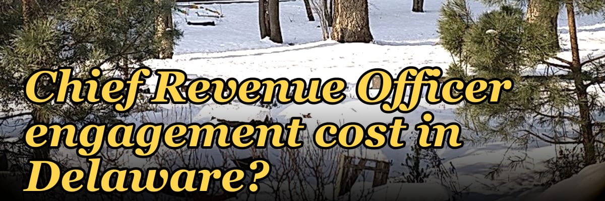 What does a fractional Chief Revenue Officer engagement cost in Delaware?