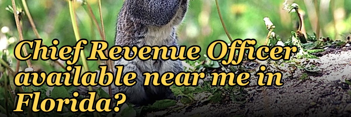 Is there a fractional Chief Revenue Officer available near me in Florida?
