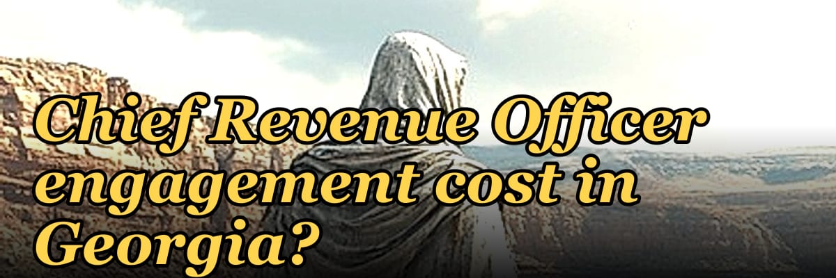 What does a fractional Chief Revenue Officer engagement cost in Georgia?