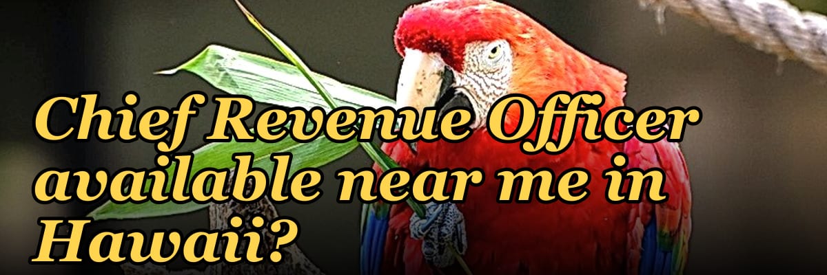 Is there a fractional Chief Revenue Officer available near me in Hawaii?
