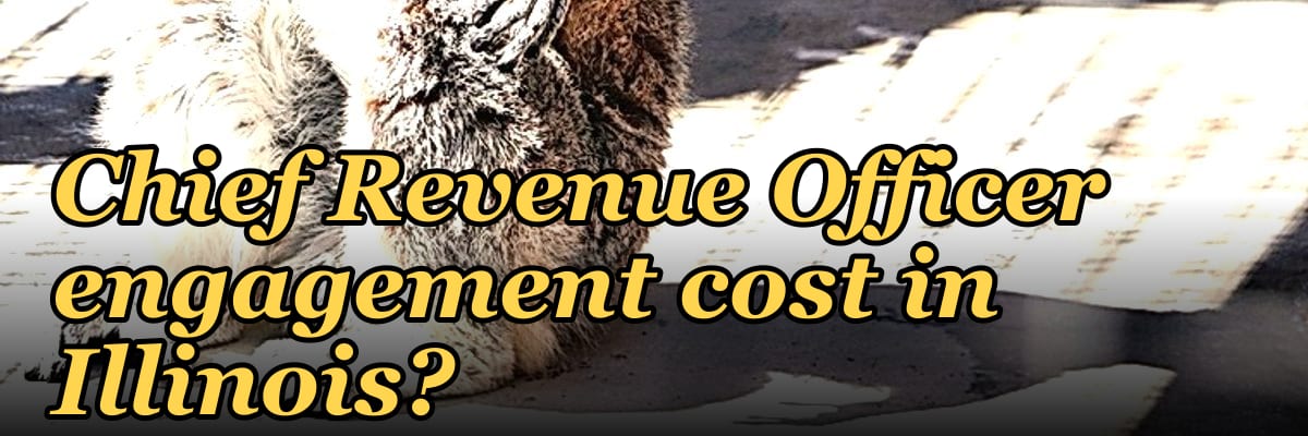 What does a fractional Chief Revenue Officer engagement cost in Illinois?