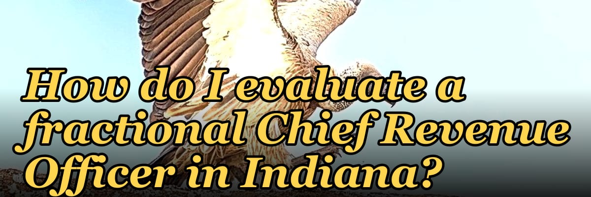 How do I evaluate a fractional Chief Revenue Officer in Indiana?