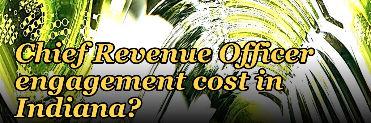 What does a fractional Chief Revenue Officer engagement cost in Indiana?