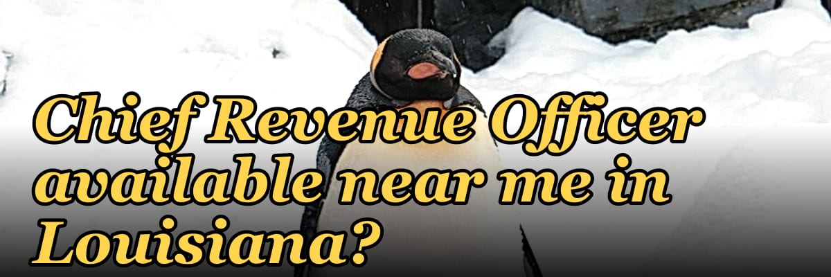Is there a fractional Chief Revenue Officer available near me in Louisiana?