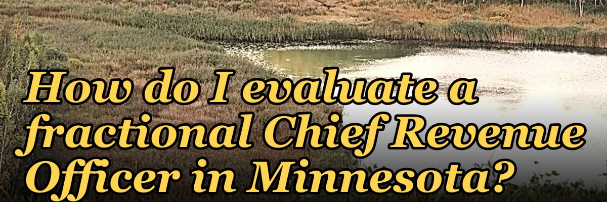 How do I evaluate a fractional Chief Revenue Officer in Minnesota?