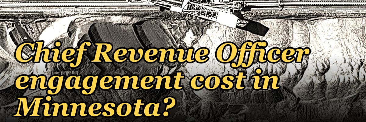 What does a fractional Chief Revenue Officer engagement cost in Minnesota?