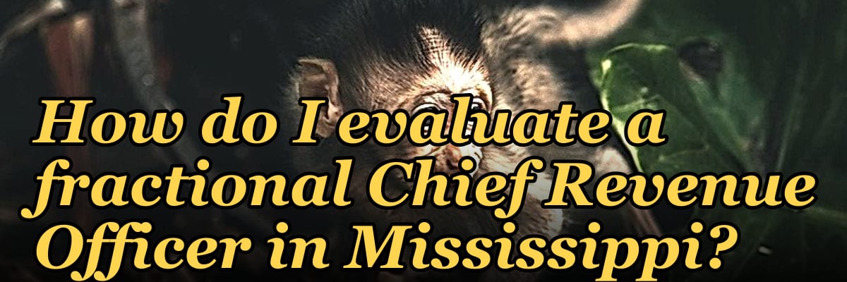 How do I evaluate a fractional Chief Revenue Officer in Mississippi?