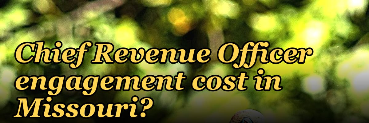 What does a fractional Chief Revenue Officer engagement cost in Missouri?