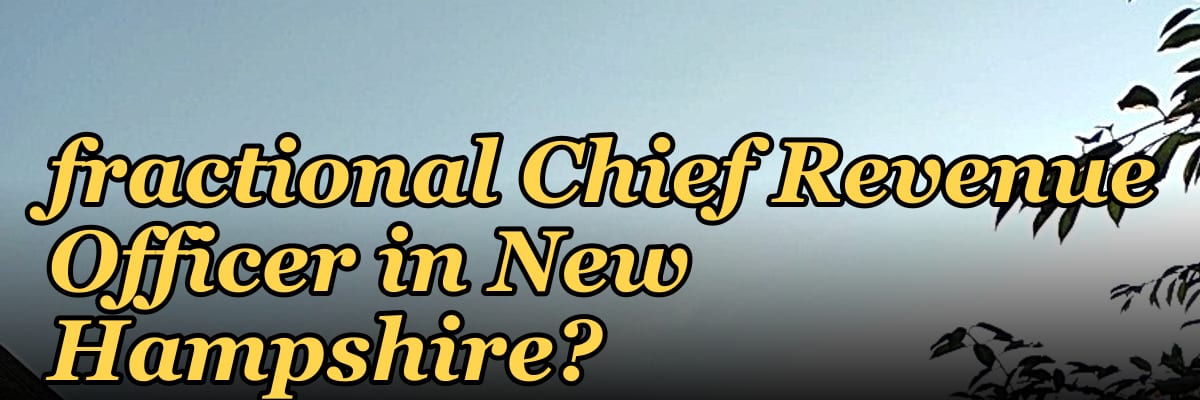 How do I evaluate a fractional Chief Revenue Officer in New Hampshire?