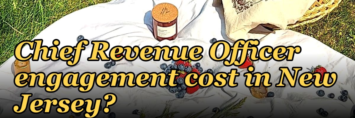 What does a fractional Chief Revenue Officer engagement cost in New Jersey?