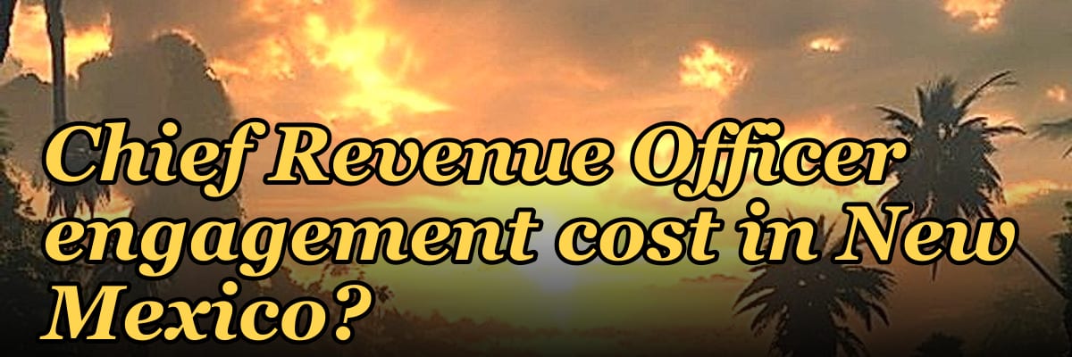 What does a fractional Chief Revenue Officer engagement cost in New Mexico?