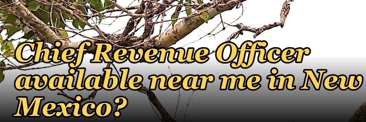 Is there a fractional Chief Revenue Officer available near me in New Mexico?