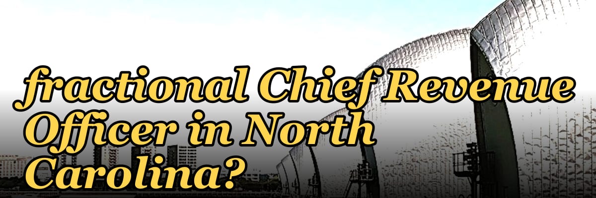 How do I evaluate a fractional Chief Revenue Officer in North Carolina?