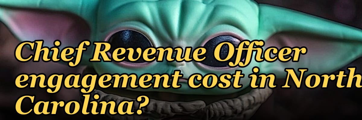 What does a fractional Chief Revenue Officer engagement cost in North Carolina?