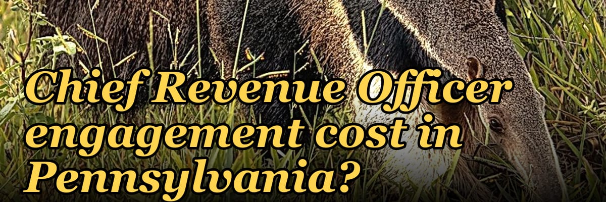 What does a fractional Chief Revenue Officer engagement cost in Pennsylvania?