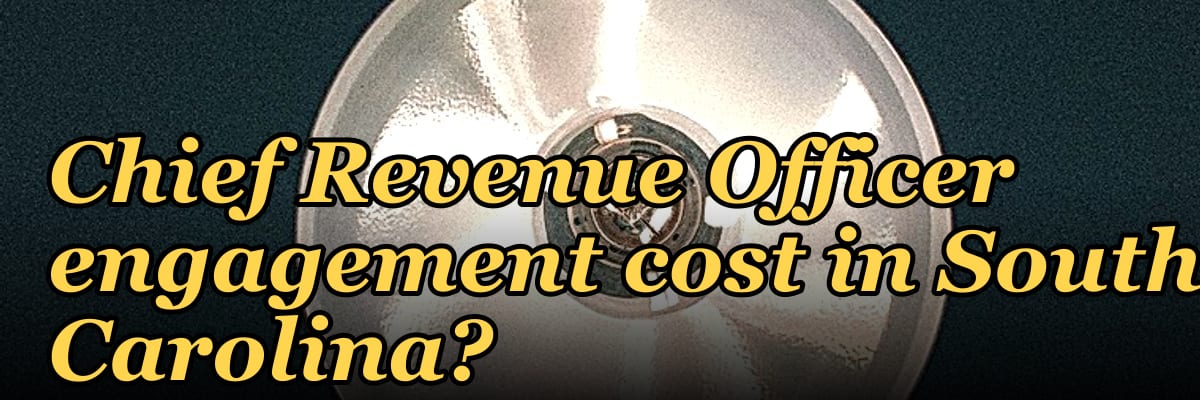 What does a fractional Chief Revenue Officer engagement cost in South Carolina?