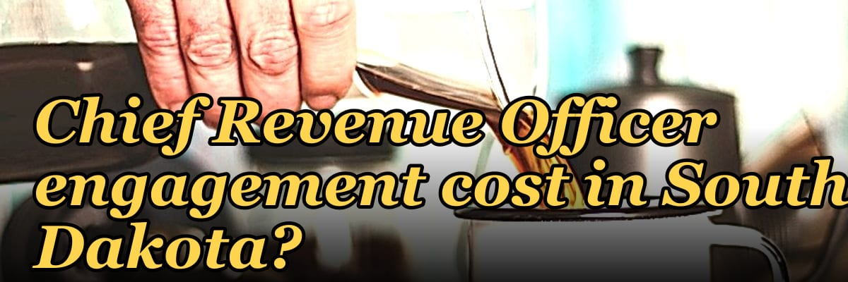 What does a fractional Chief Revenue Officer engagement cost in South Dakota?